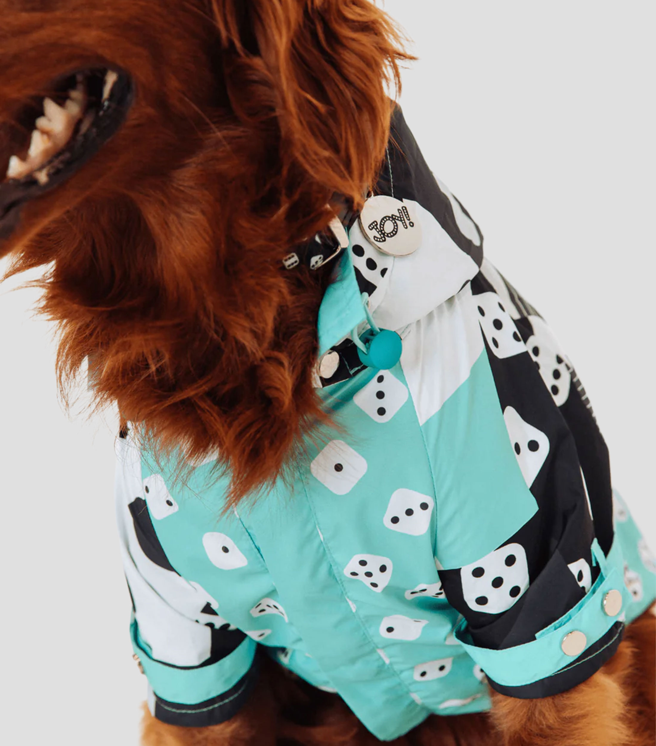 Impermeable con capucha para perro